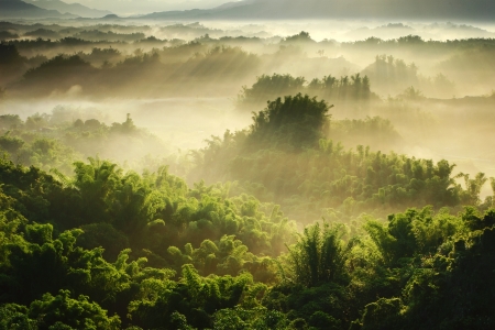 Sunshine on the morning mist Stock Photo