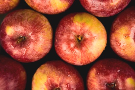 Fresh organic red apples on black background flat lay frame top view copy space autumn harvest Stock Photo