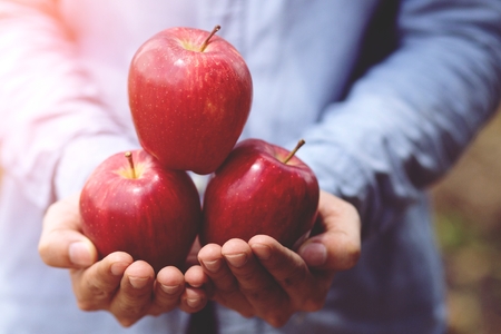 Apple fresh from the farm Stock Photo