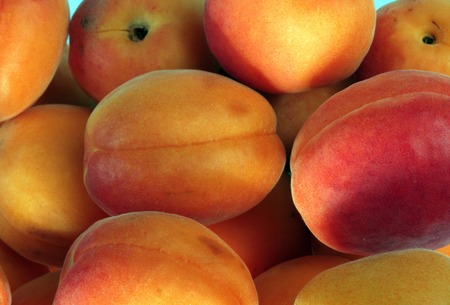 Many orange peach at day