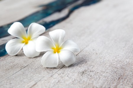 Plumeria flowers on wooden textured background with blue glass Stock Photo