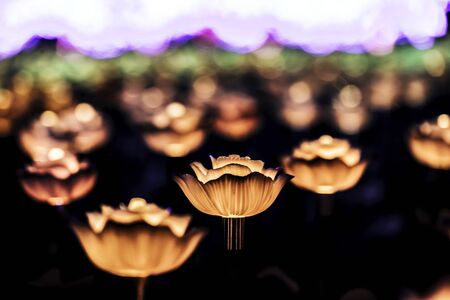 Flower lanterns on the field at night