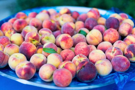 Fresh fruit for hotel guests assortment of fruits at the hotel on the all inclusive system of turkey Stock Photo