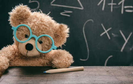 Maths lesson test concept smart kid in school class cute teddy wearing blue eyeglasses and math symbols on blackboard