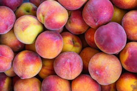 Red and yellow peach fruits close up