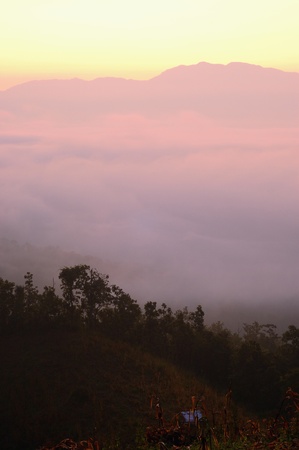 The nature of light and morning mist north of thailand