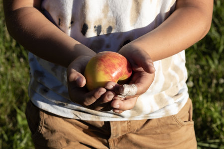 Ripe apple in the boys hands Stock Photo