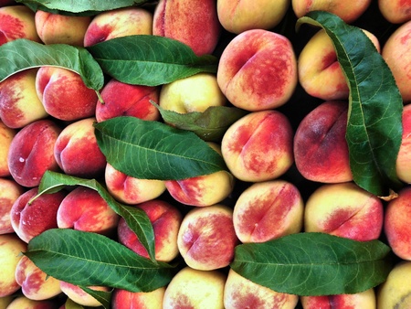 Peaches with leaves