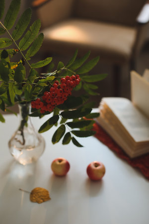 Autumn still life with a rowan branch in a vase book and apples in a cozy home interior Stock Photo