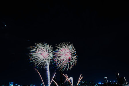 Colorful fireworks in the sky on new year s eve rituals to welcome new year in every corner of the world fireworks celebrating new year s eve welcome the new year