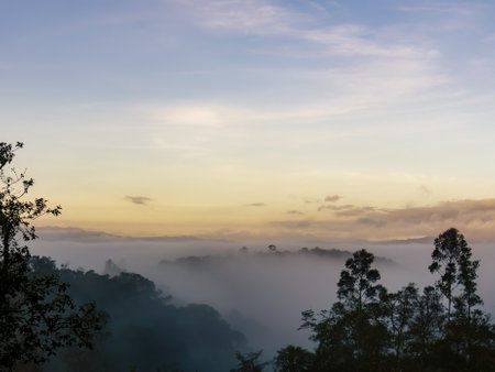 View of a hill and forest covered with low mist early in the morning in the eastern andean mountains of central colombia Stock Photo