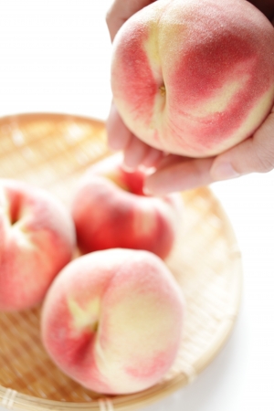 Freshness peach from japan on girl hands