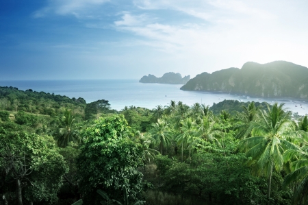 View from view point of phi phi island in thailand