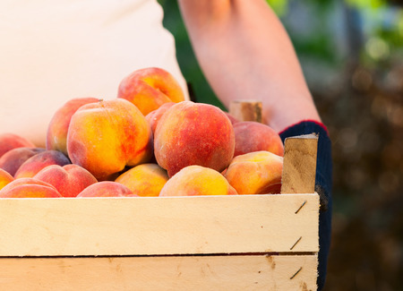 Ripe peaches in a box