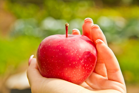 Red apple in a female hand