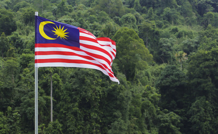 Malaysia flag jalur gemilang waving with the background of malaysian rainforest trees