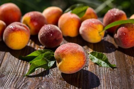 Fresh peaches peach close up fruit background peach on wood background sweet peaches group of peaches peaches pattern texture fruit market peach background